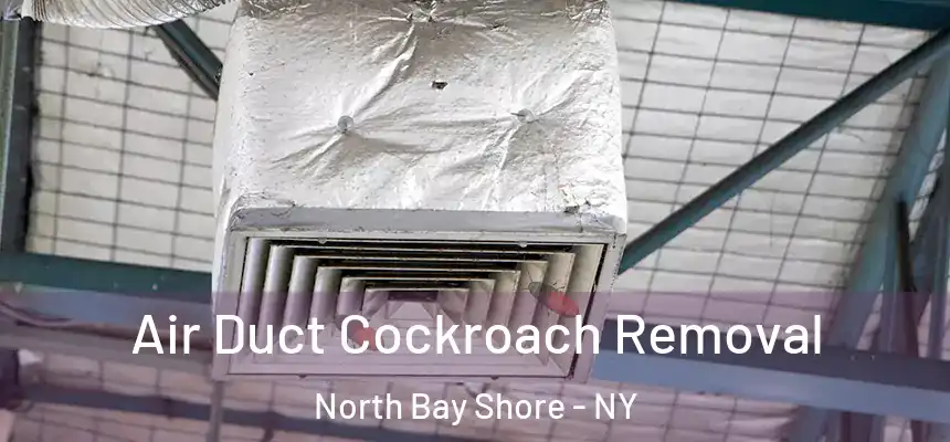 Air Duct Cockroach Removal North Bay Shore - NY