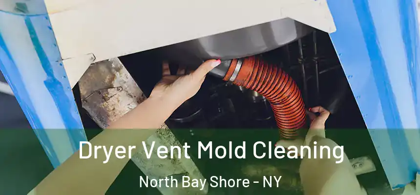 Dryer Vent Mold Cleaning North Bay Shore - NY