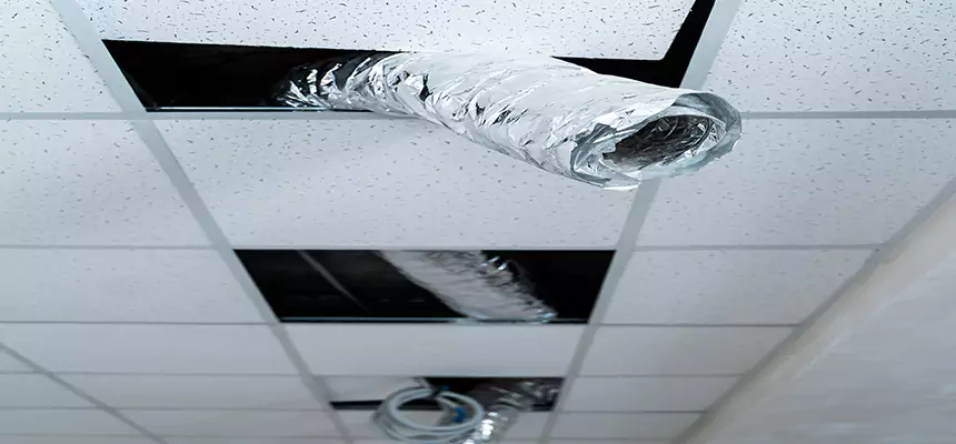 Our Air Duct Pet Hair Removal Services in North Bay Shore, NY