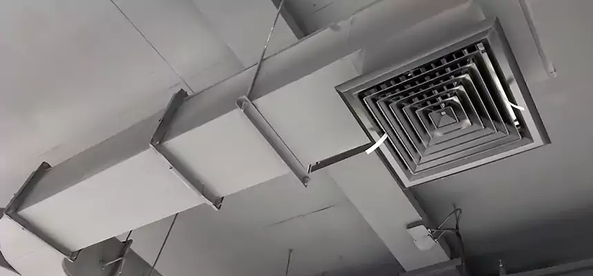 Restorative Allergy Relief Vent Cleaning – Coil, Blower & Housing Detail in North Bay Shore