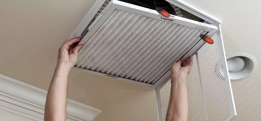 Our Insect Removal from Air Ducts Services in North Bay Shore, NY