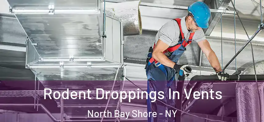 Rodent Droppings In Vents North Bay Shore - NY