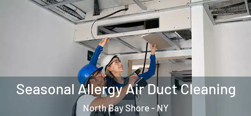  Seasonal Allergy Air Duct Cleaning North Bay Shore - NY