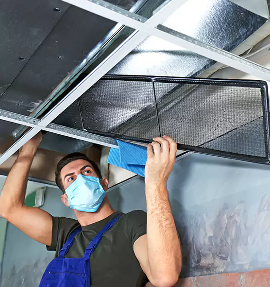 Professional Air Duct Pollen Cleaning in North Bay Shore, NY
