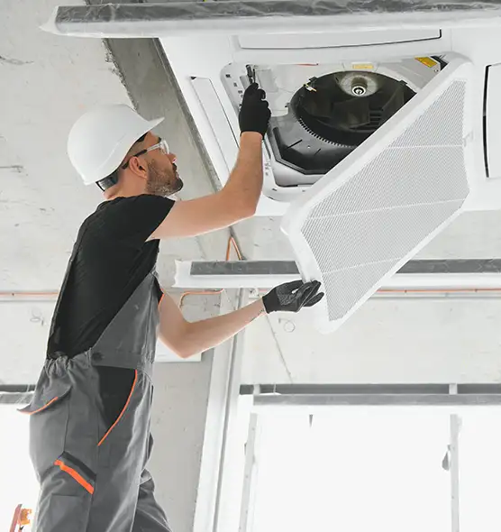 About Air Duct Rodent Removal in North Bay Shore, NY