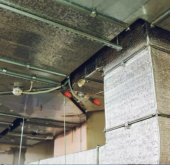 Why Homeowners & Businesses Trust Us in North Bay Shore, NY?