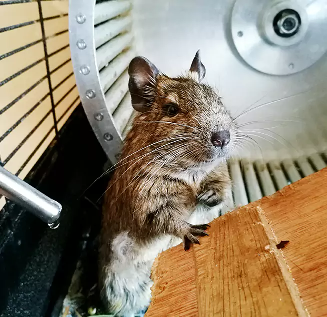 Why Homeowners & Businesses Trust Us North Bay Shore, NY?